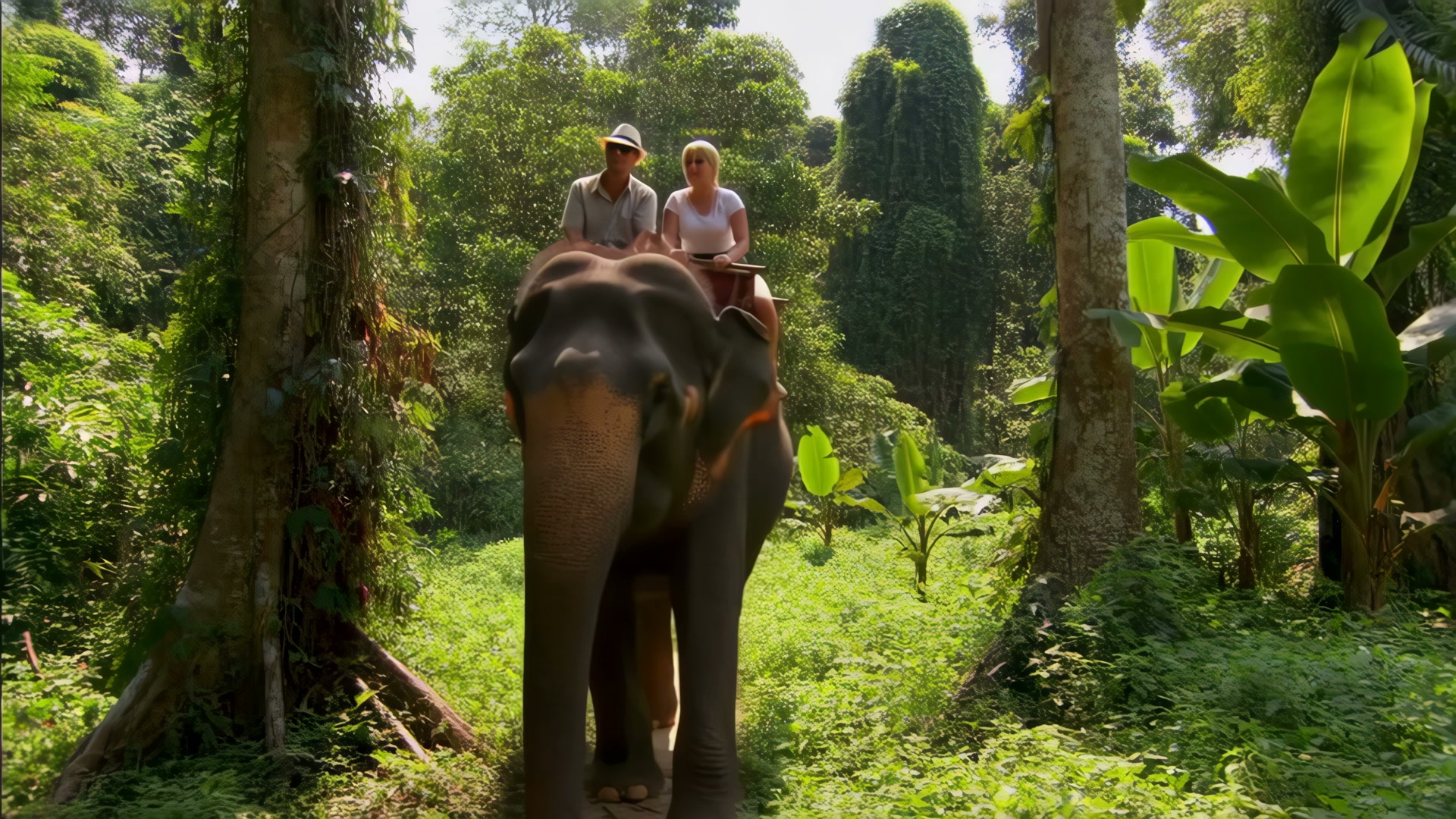 Sri Lanka Grand Tour